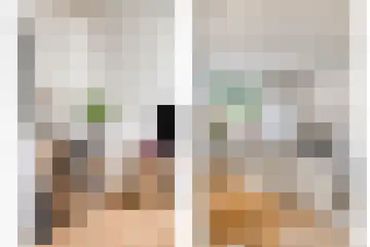 Mezenweg 18 Wapenveld thumbnail 7