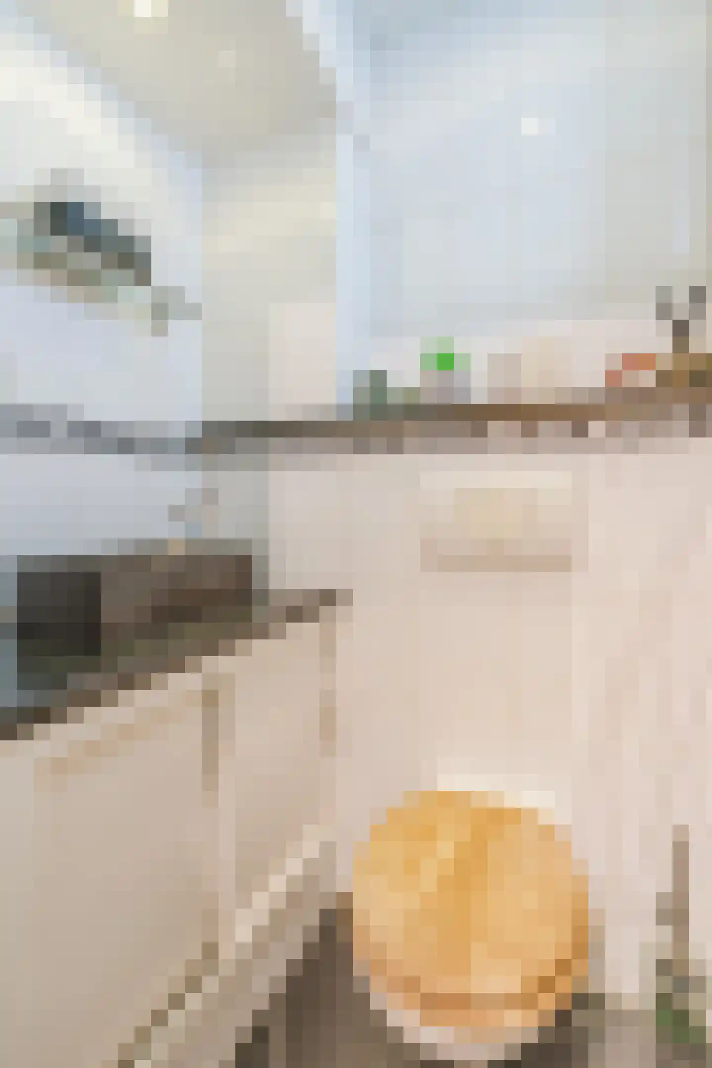 Mezenweg 20 Wapenveld thumbnail 16