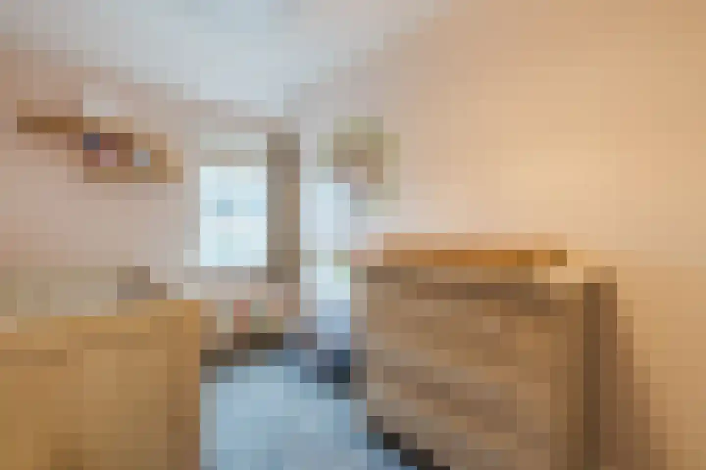 Mezenweg 20 Wapenveld thumbnail 25