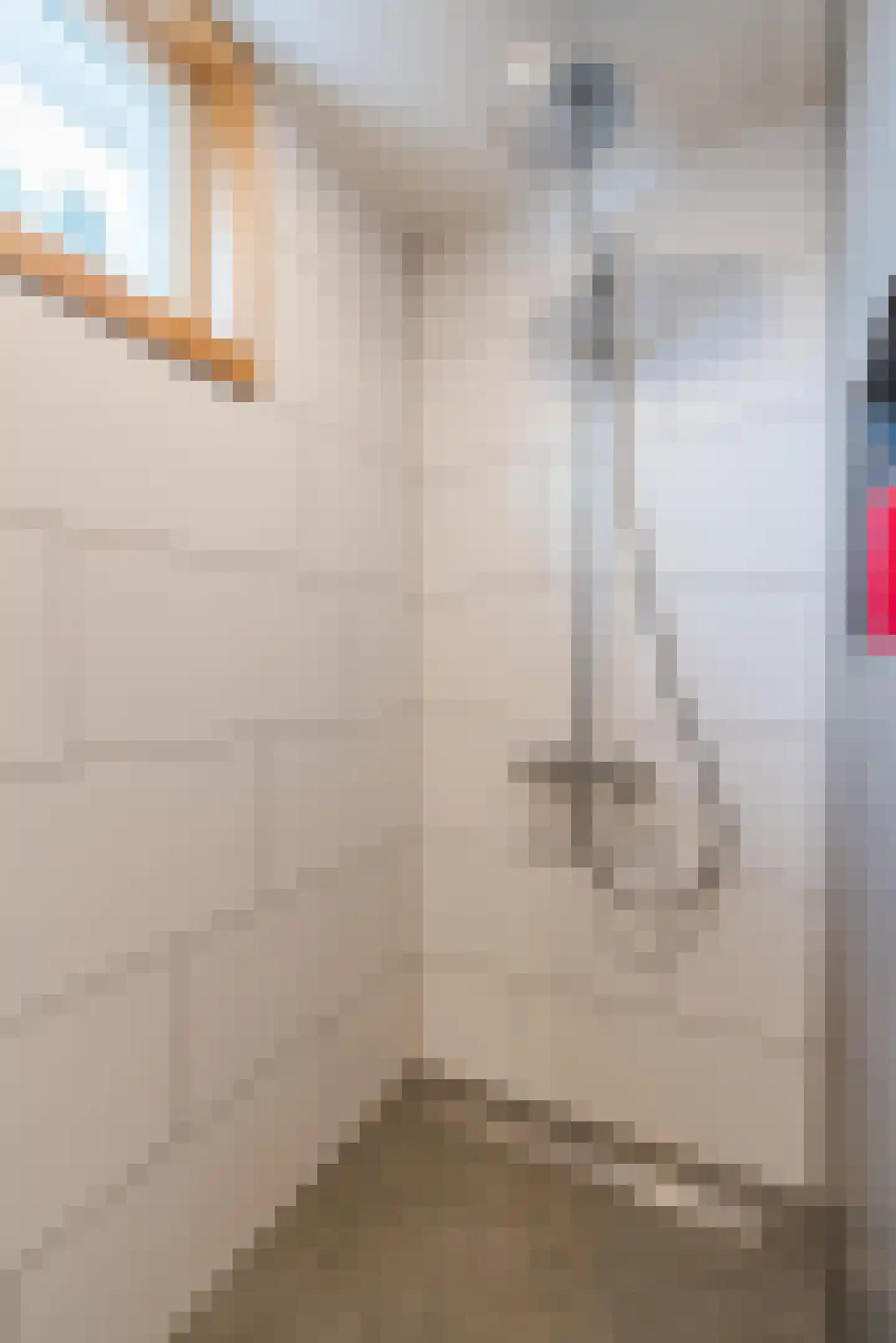 Mezenweg 20 Wapenveld thumbnail 30