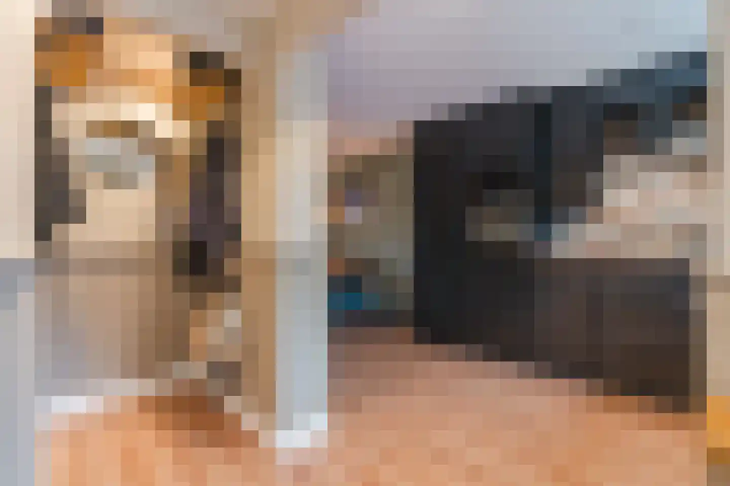 Mezenweg 20 Wapenveld thumbnail 9