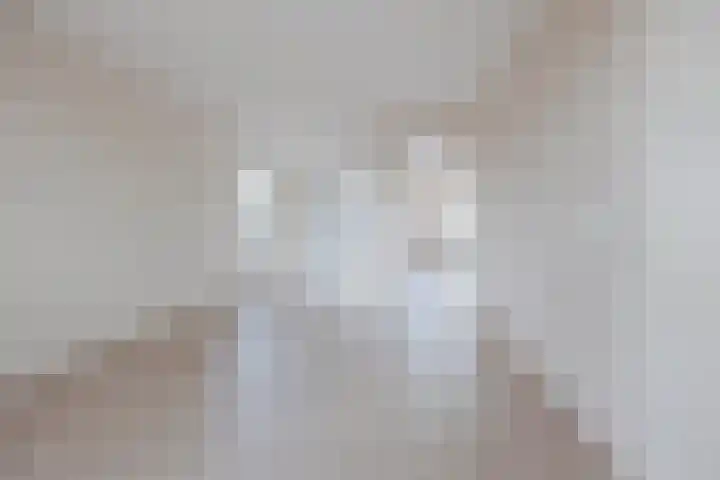 Mgr Aertsstraat 14 a Swolgen thumbnail 13