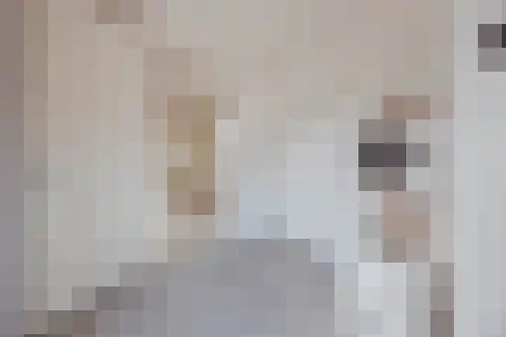 Mgr Aertsstraat 14 a Swolgen thumbnail 22