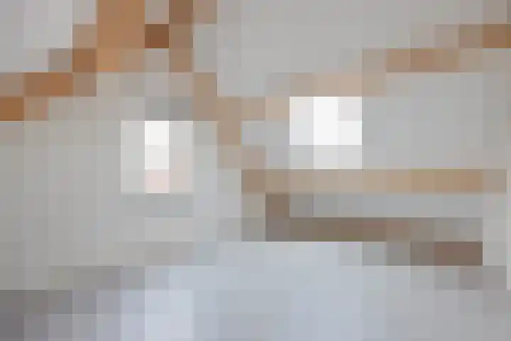 Mgr Aertsstraat 14 a Swolgen thumbnail 26