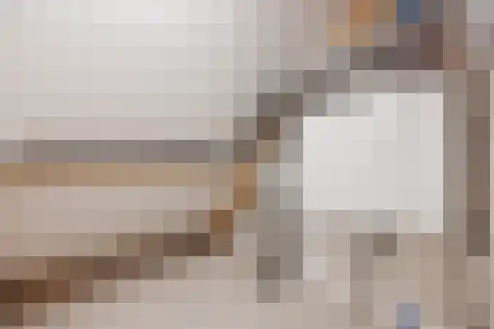 Mgr Aertsstraat 14 a Swolgen thumbnail 28