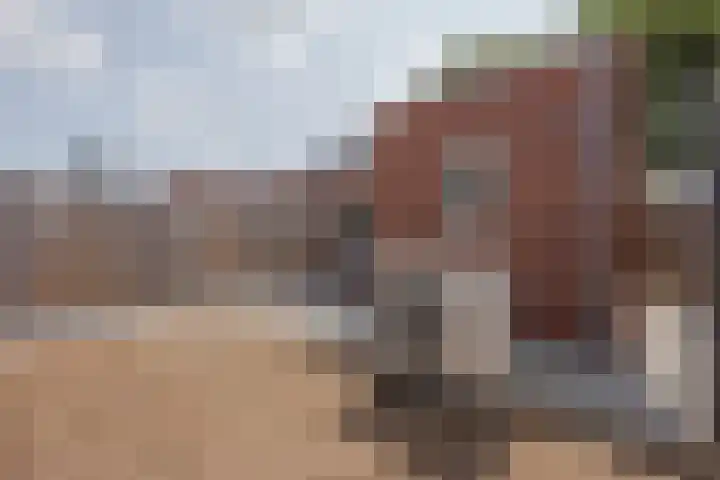 Mgr Aertsstraat 14 a Swolgen thumbnail 30
