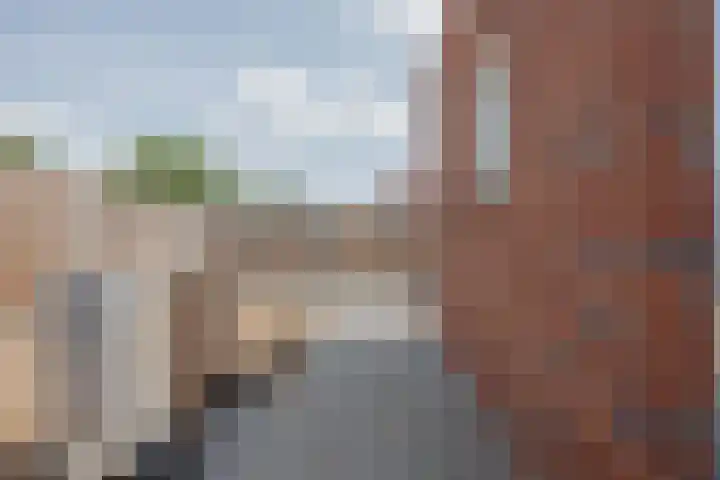 Mgr Aertsstraat 14 a Swolgen thumbnail 33