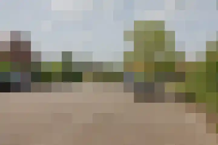 Mgr Aertsstraat 14 a Swolgen thumbnail 35