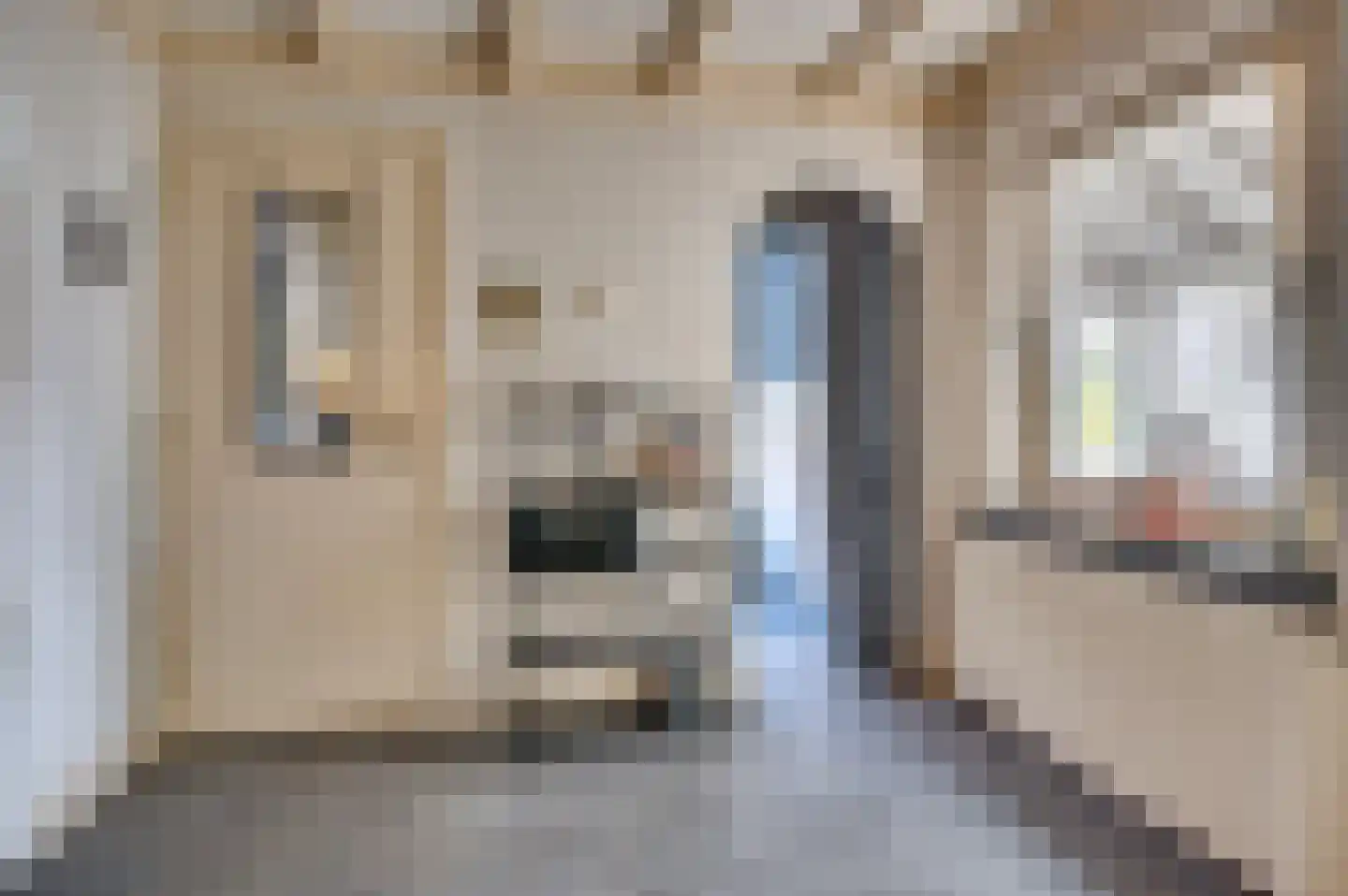 Mgr Aertsstraat 28 Swolgen thumbnail 21