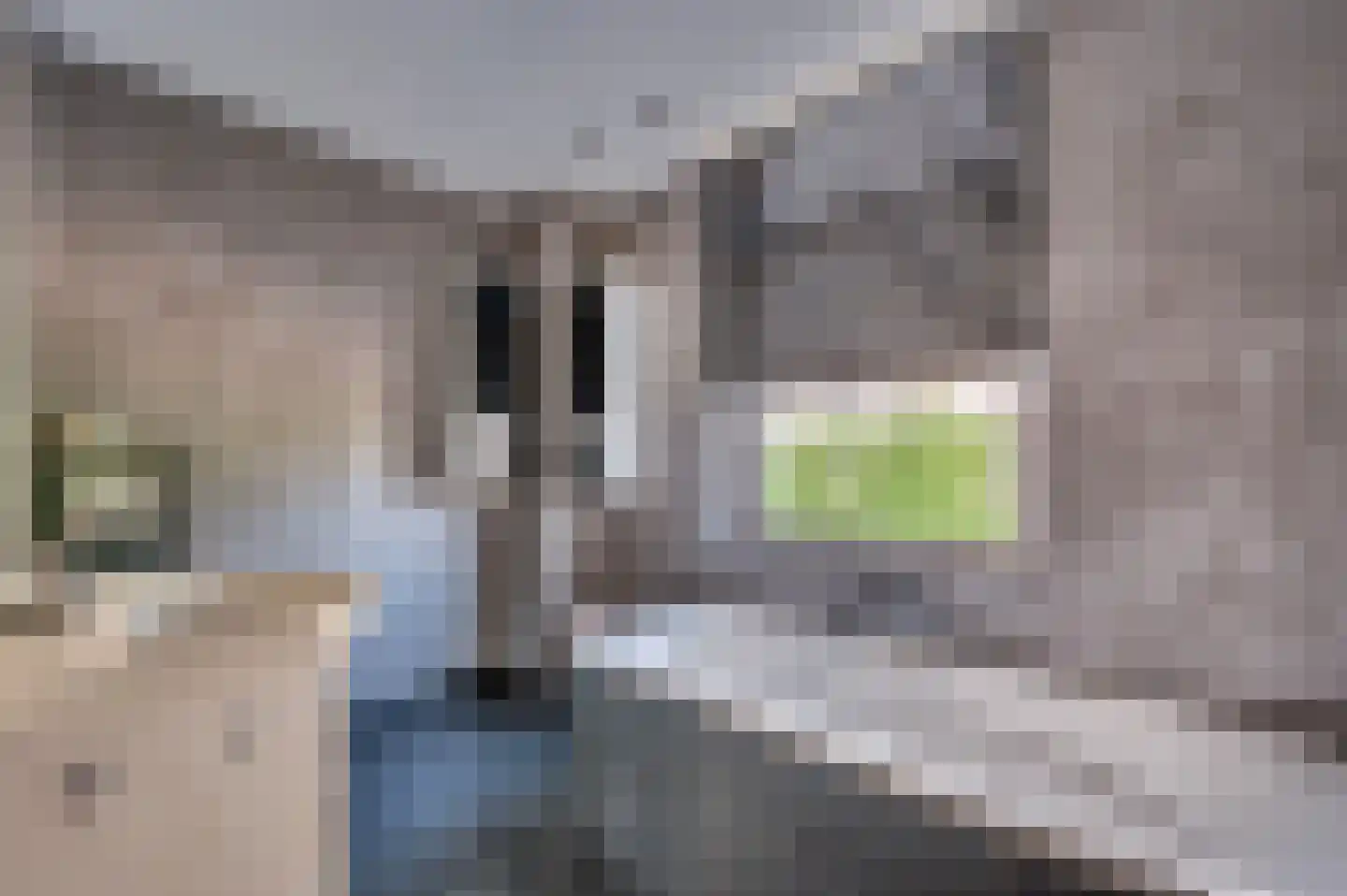 Mgr Aertsstraat 28 Swolgen thumbnail 25