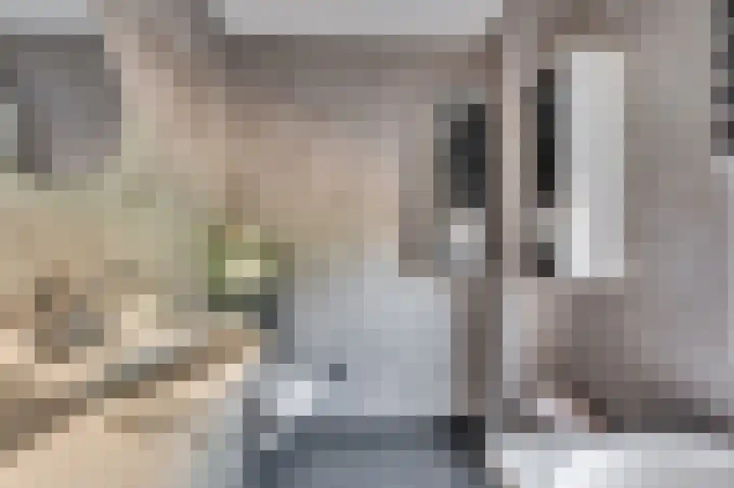 Mgr Aertsstraat 28 Swolgen thumbnail 27
