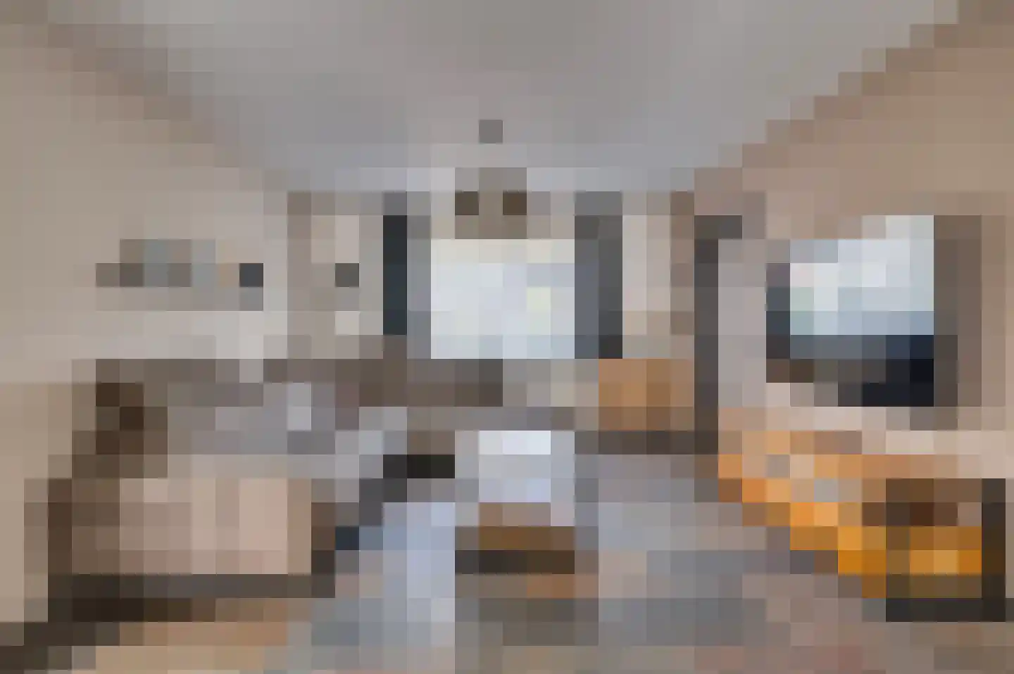 Mgr Aertsstraat 28 Swolgen thumbnail 47