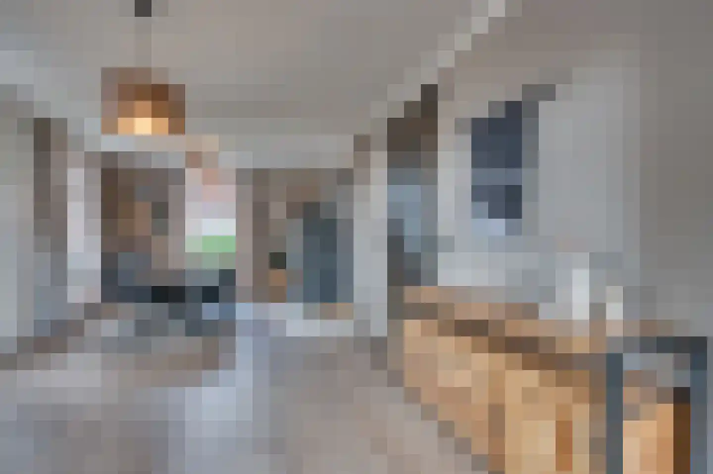 Mgr Aertsstraat 28 Swolgen thumbnail 7