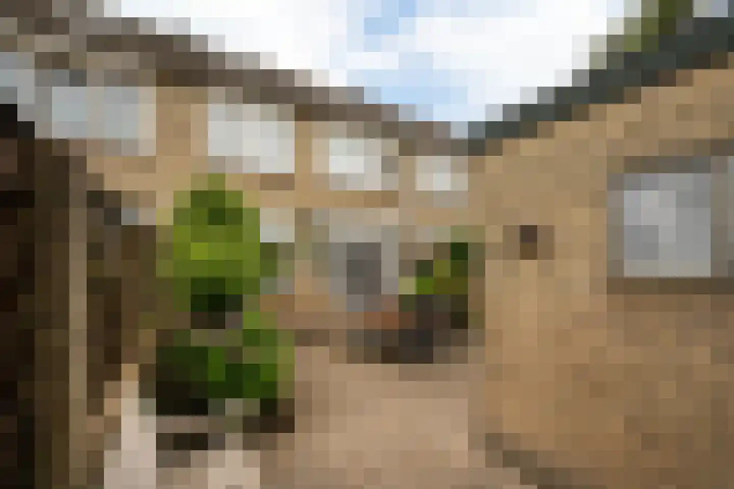 Mgr Ariensstraat 29 Hoogerheide thumbnail 31