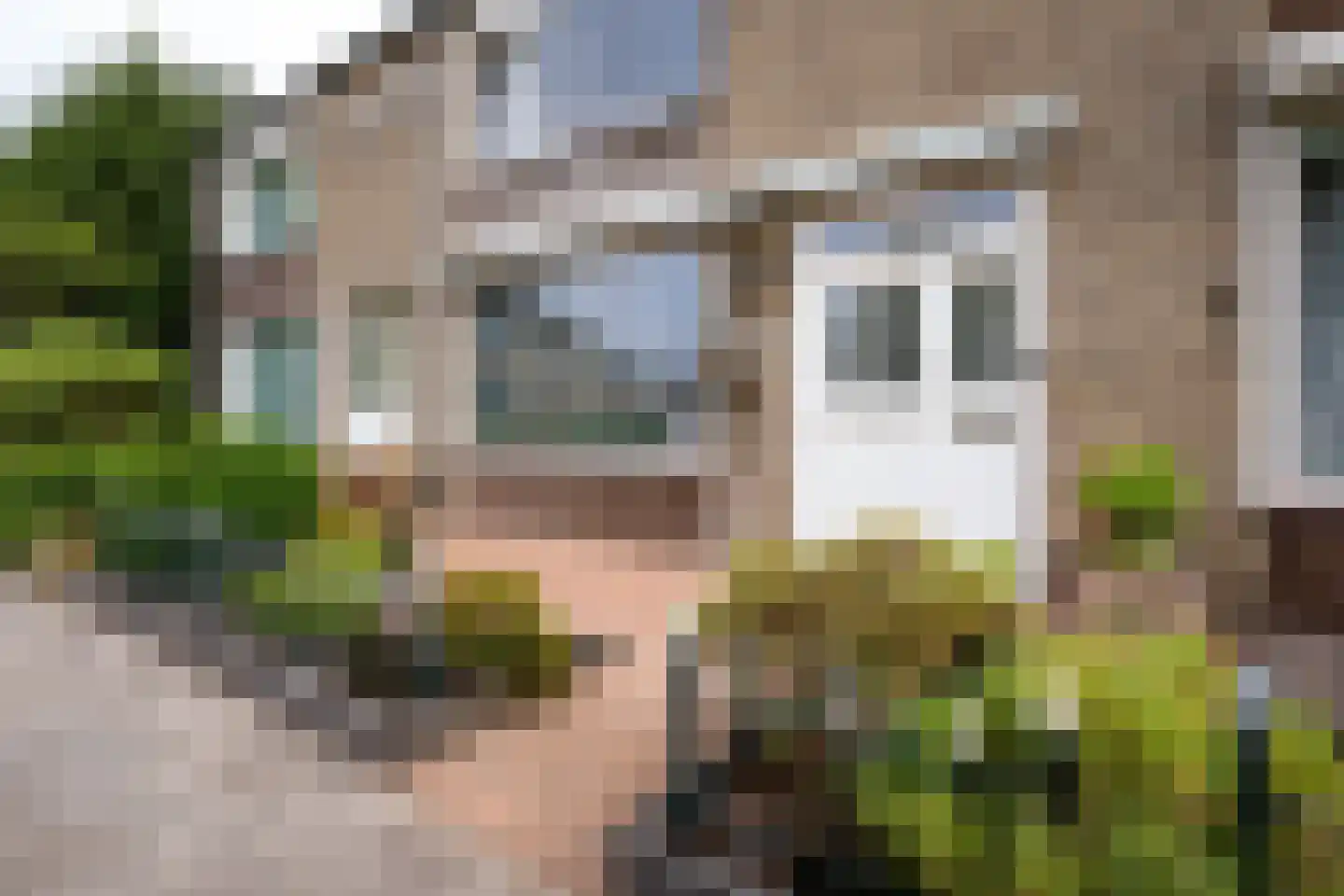 Mgr Ariensstraat 29 Hoogerheide thumbnail 38