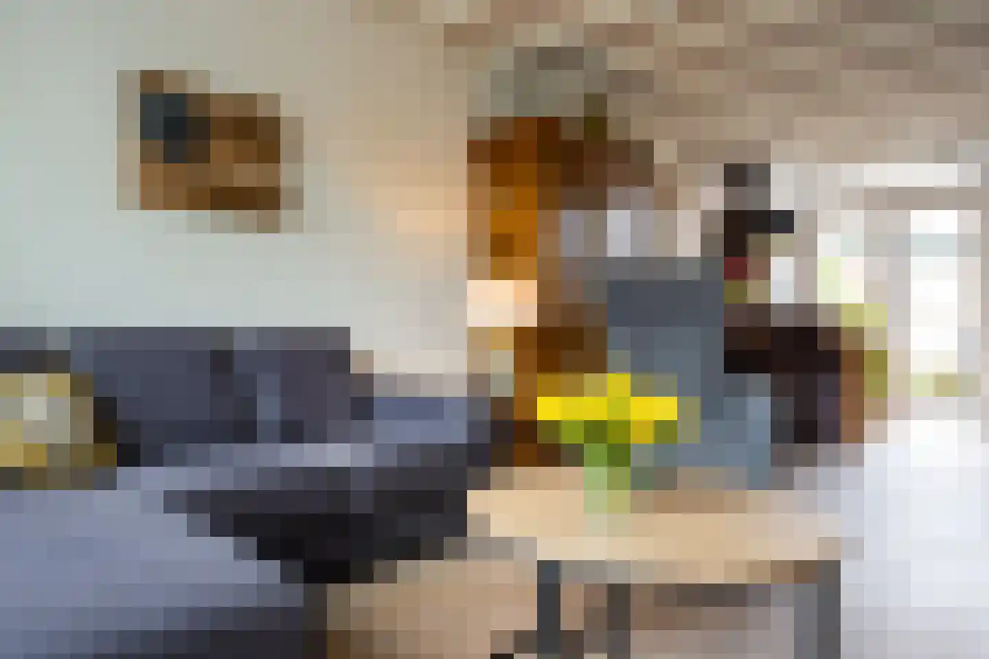 Mgr Ariensstraat 29 Hoogerheide thumbnail 8