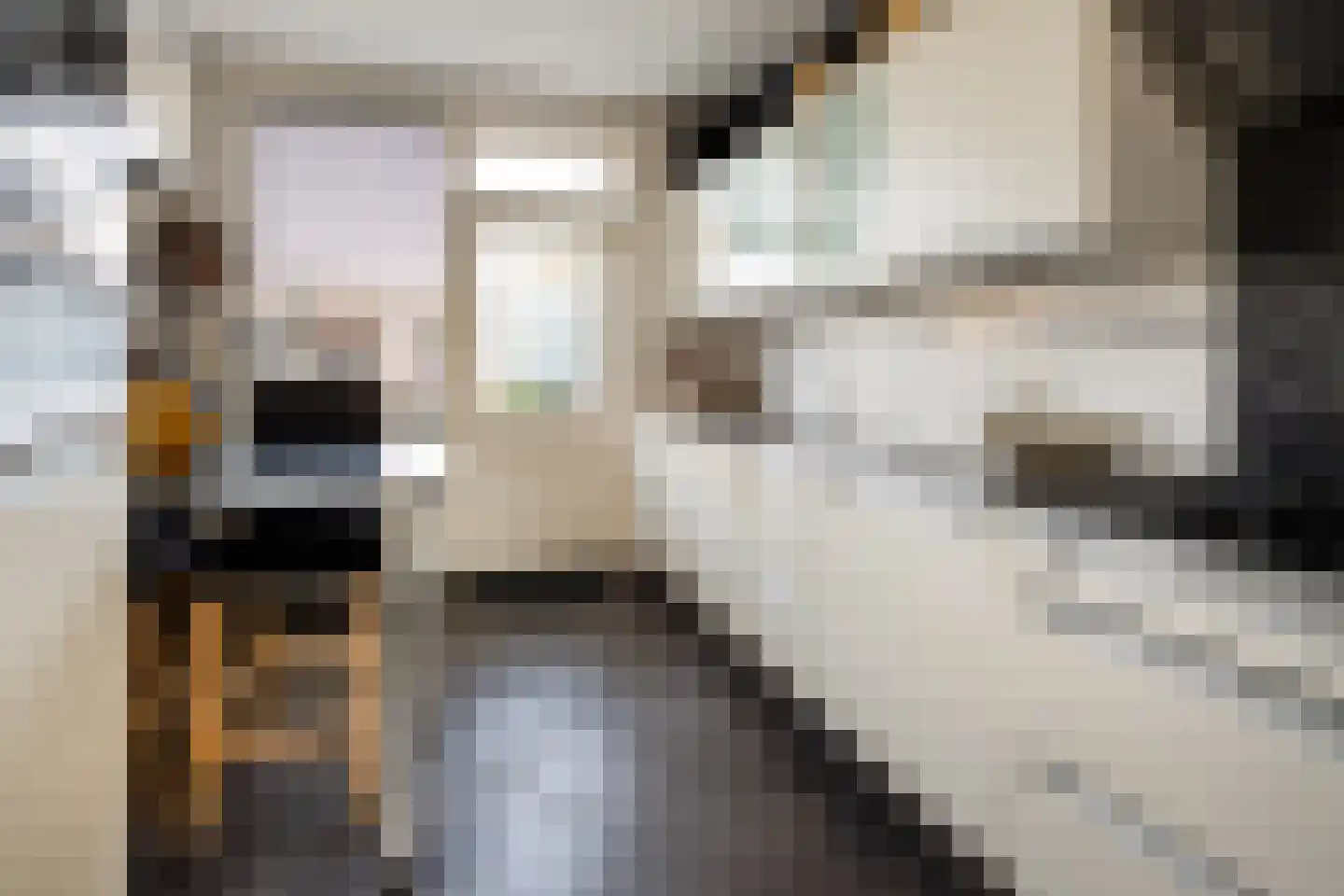 Mgr Ariensstraat 5 Hoogerheide thumbnail 5
