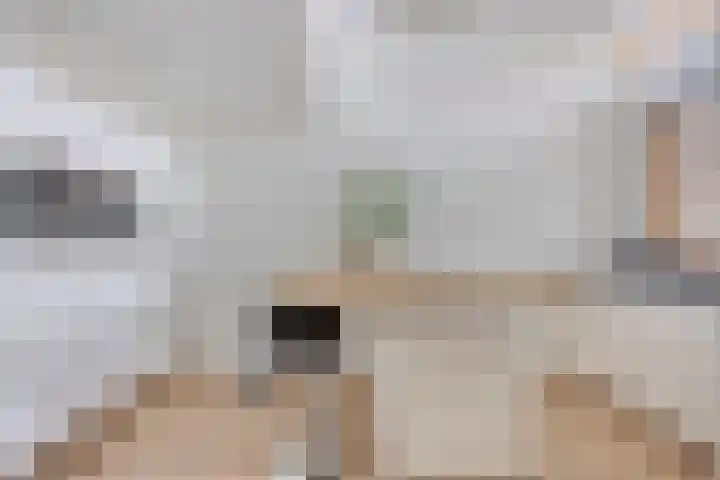 Mgr. Bannenberglaan 1 Waalre thumbnail 19