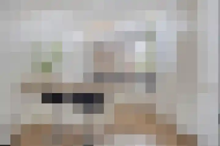 Mgr. Bannenberglaan 1 Waalre thumbnail 20