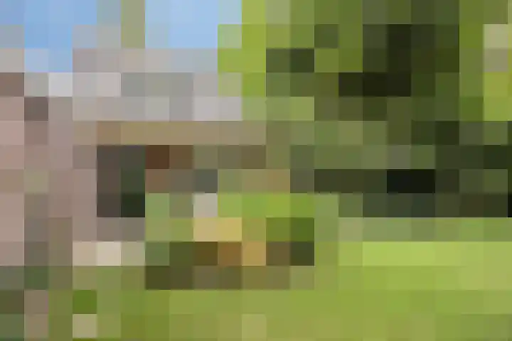 Mgr. Bannenberglaan 1 Waalre thumbnail 36