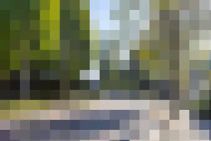 Mgr. Bannenberglaan 1 Waalre thumbnail 4