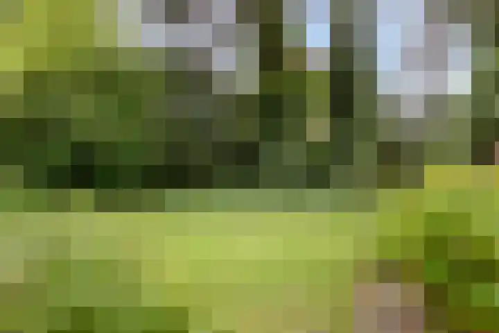 Mgr. Bannenberglaan 1 Waalre thumbnail 40