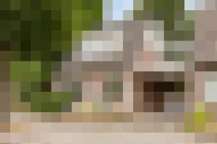 Mgr. Bannenberglaan 1 Waalre thumbnail 5