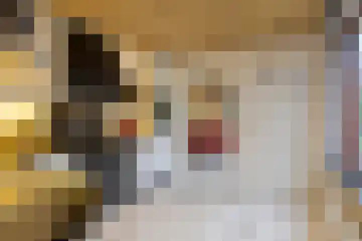 Mgr. Bannenberglaan 26 Waalre thumbnail 20