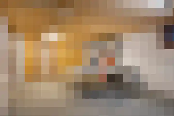 Mgr. Bannenberglaan 26 Waalre thumbnail 29