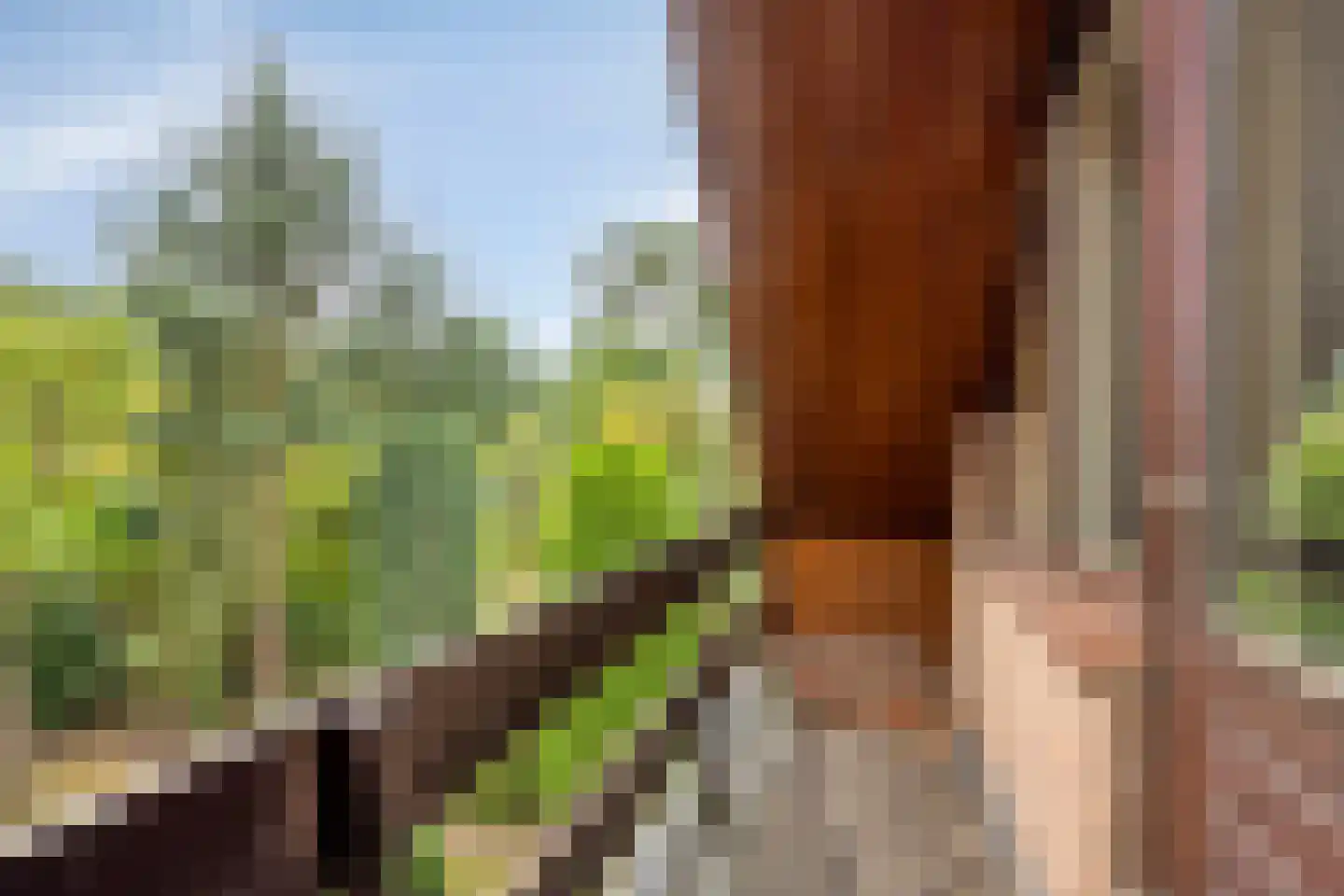 Mgr. Bannenberglaan 4 Waalre thumbnail 34