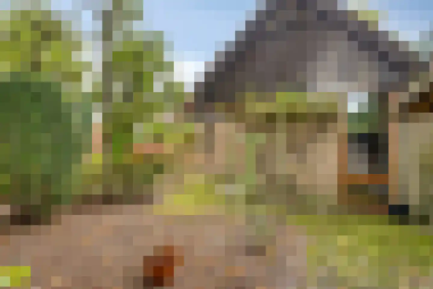 Mgr. Bannenberglaan 4 Waalre thumbnail 40