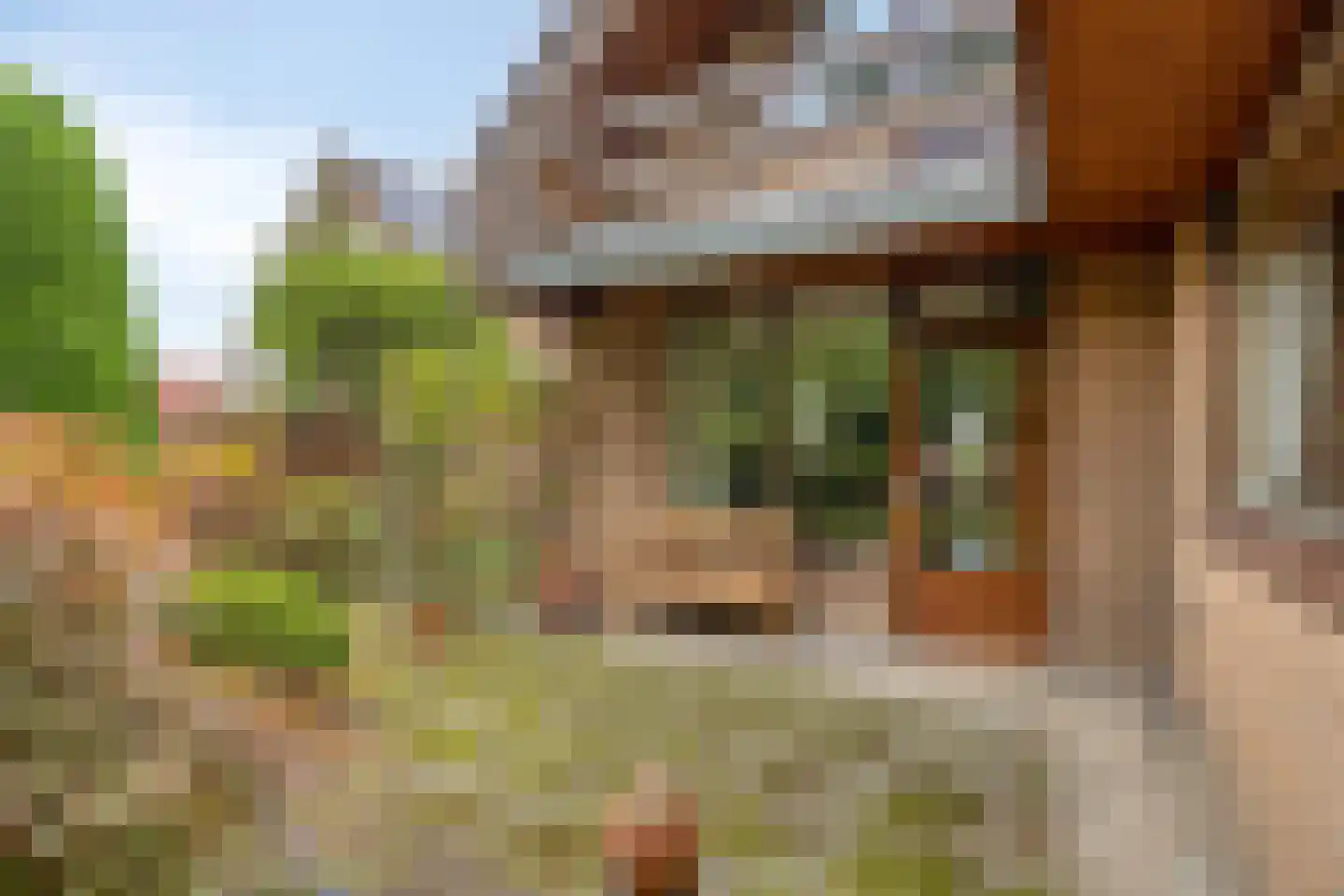 Mgr. Bannenberglaan 4 Waalre thumbnail 42