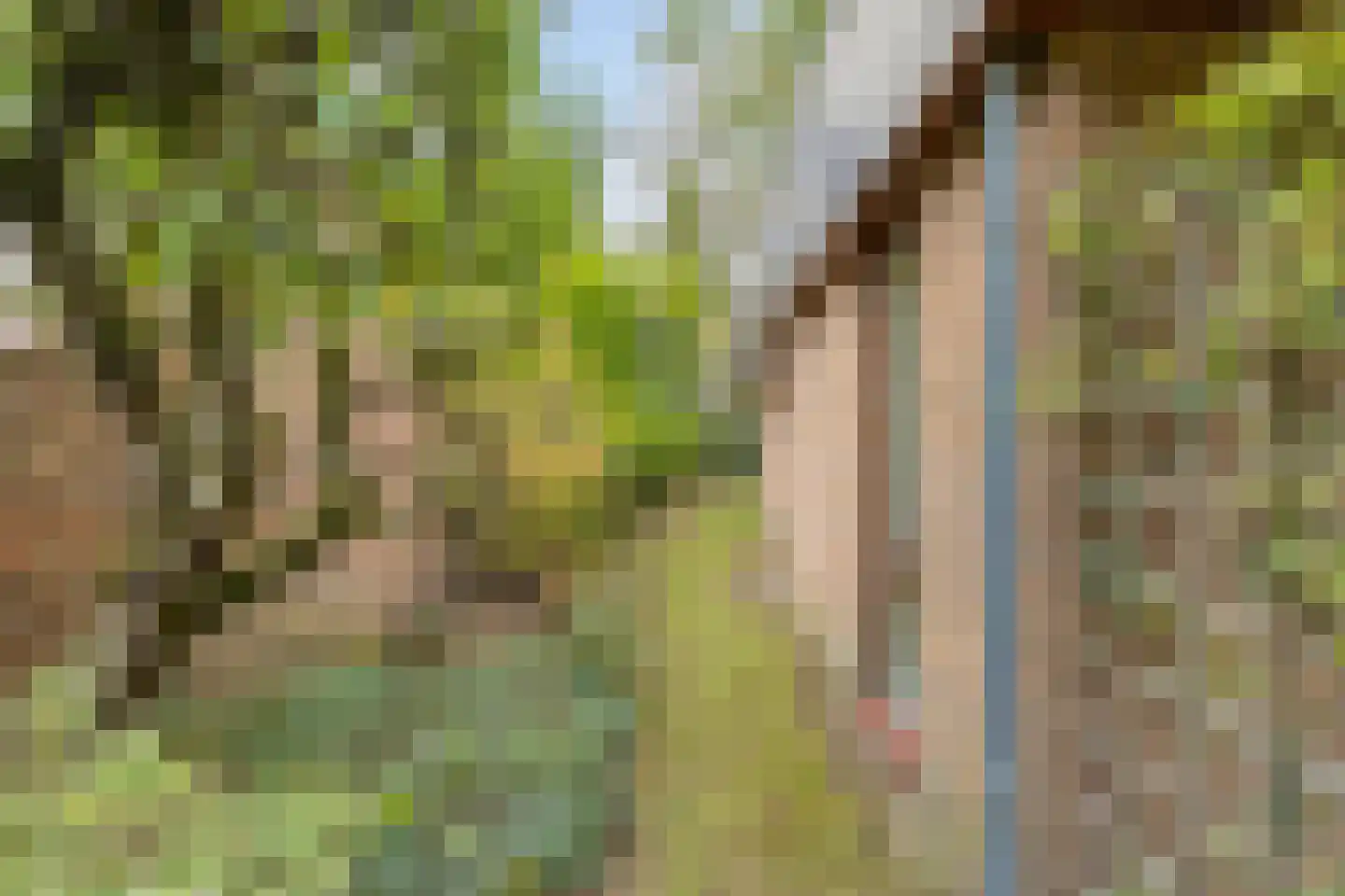 Mgr. Bannenberglaan 4 Waalre thumbnail 43