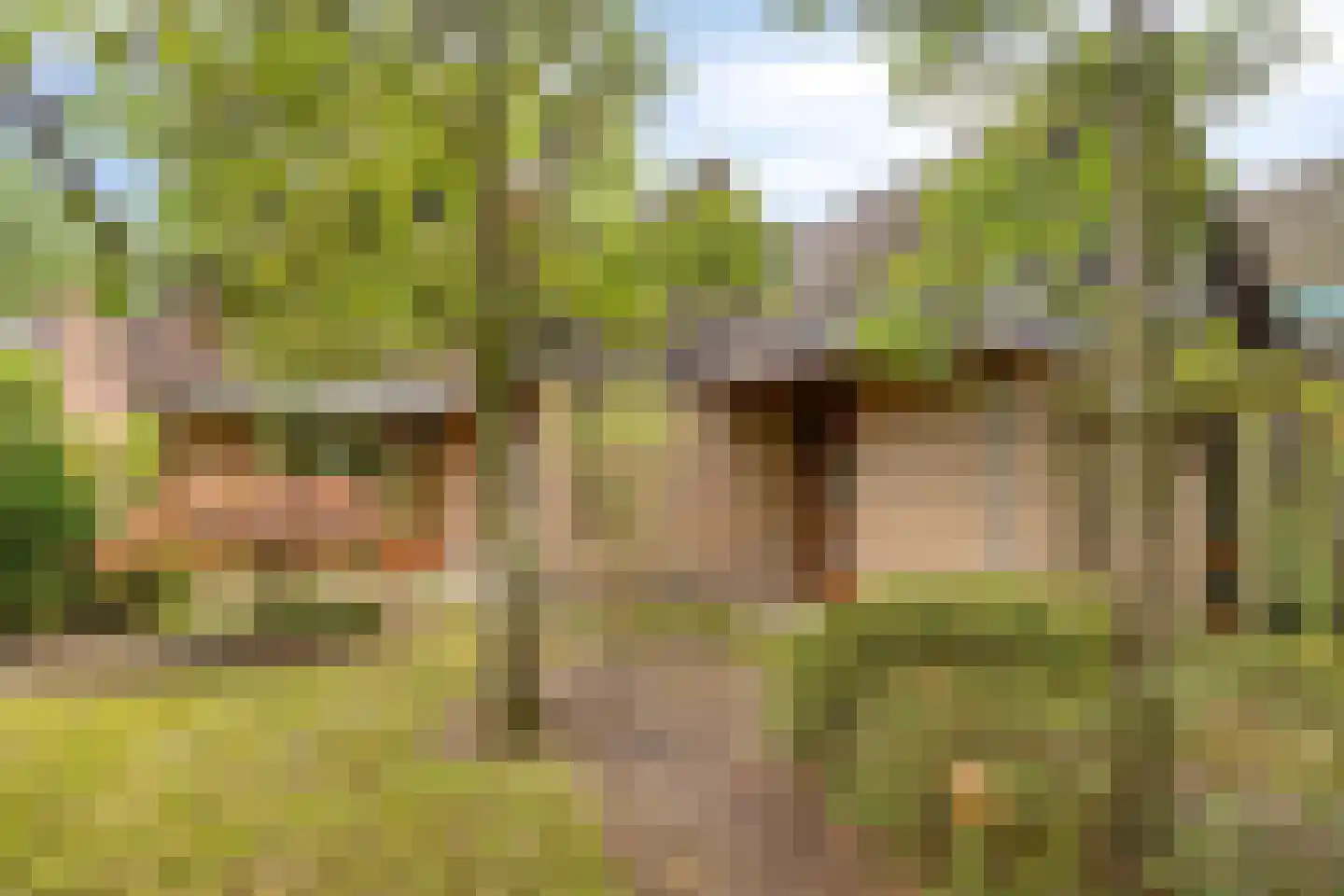 Mgr. Bannenberglaan 4 Waalre thumbnail 44