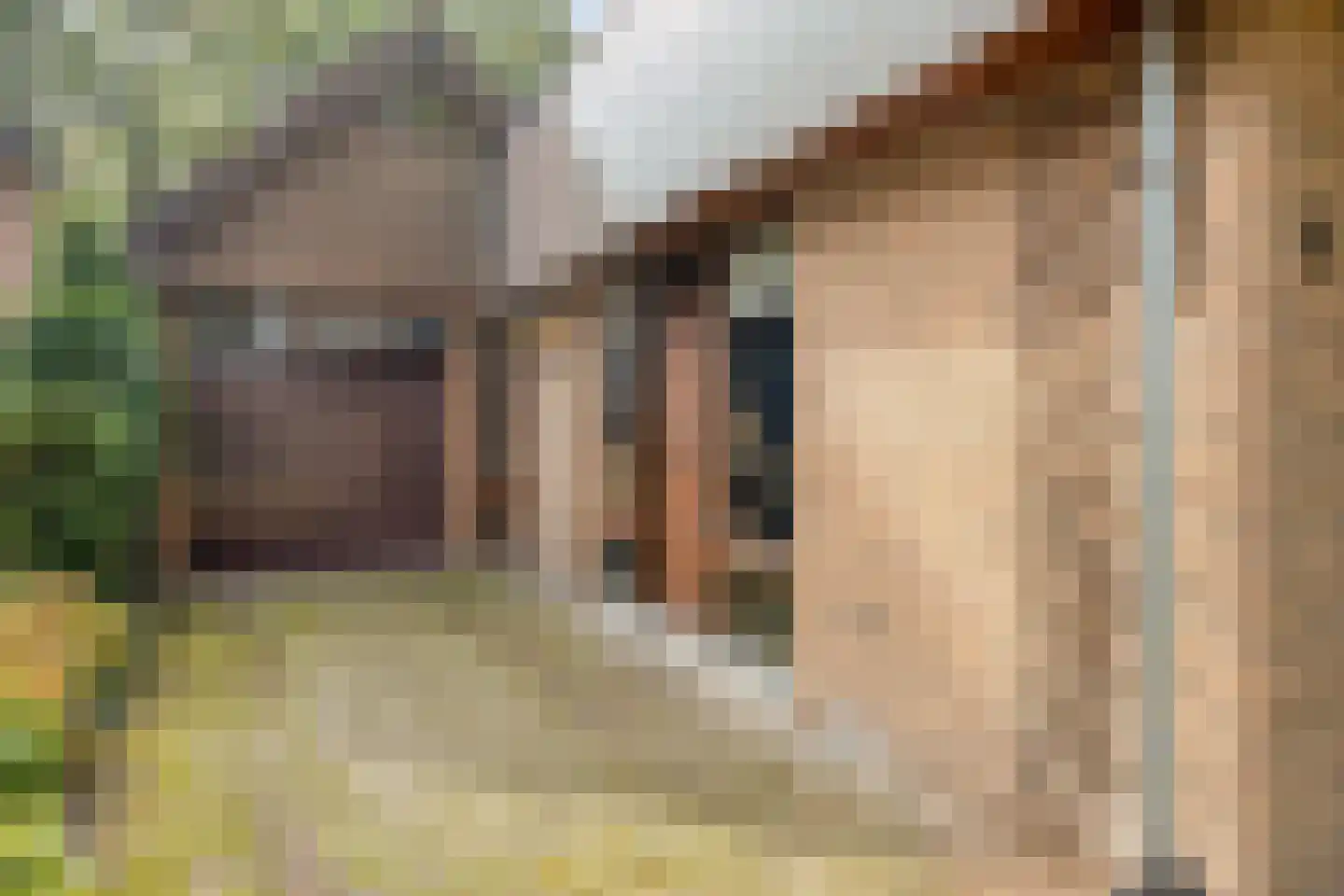 Mgr. Bannenberglaan 4 Waalre thumbnail 46