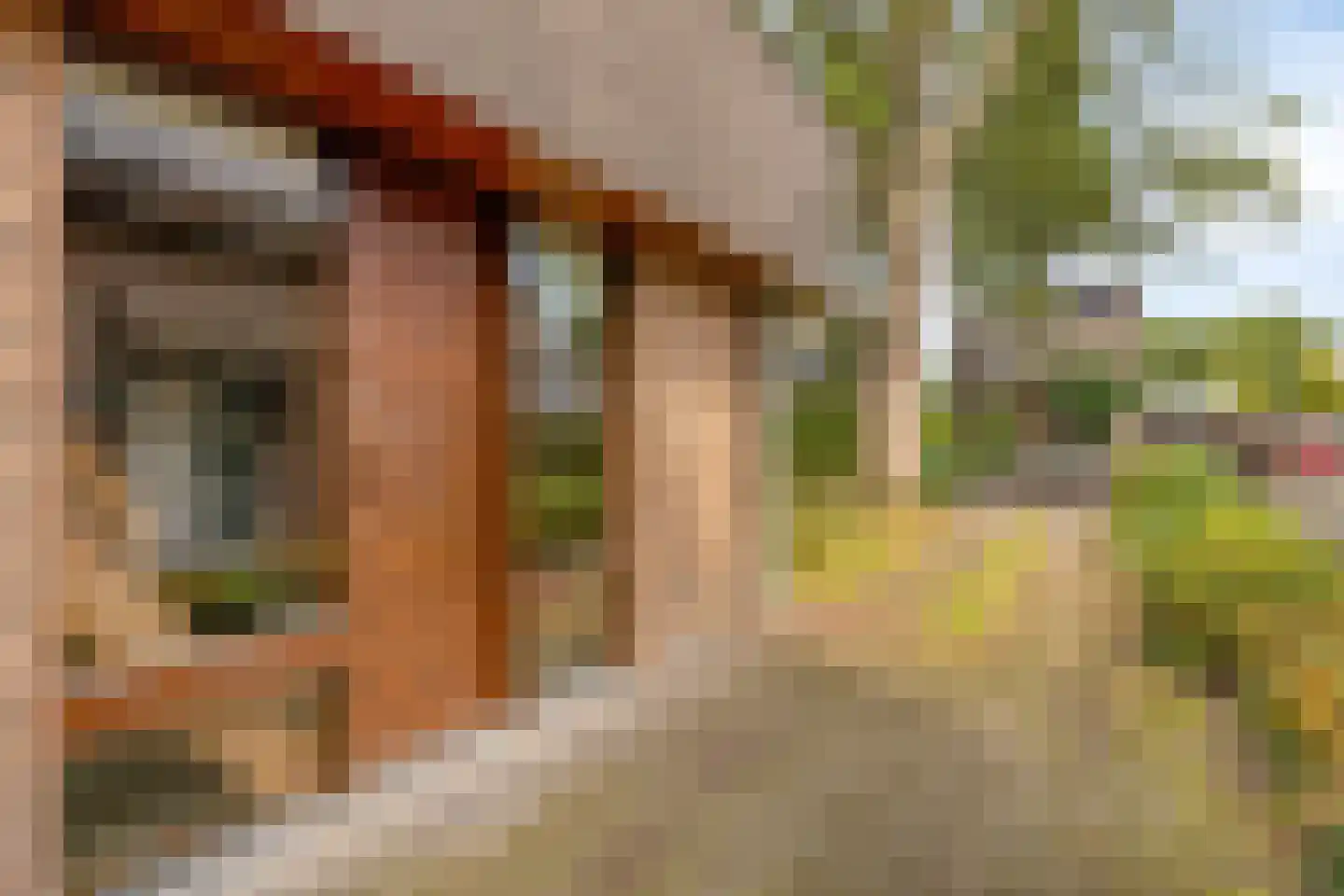 Mgr. Bannenberglaan 4 Waalre thumbnail 47