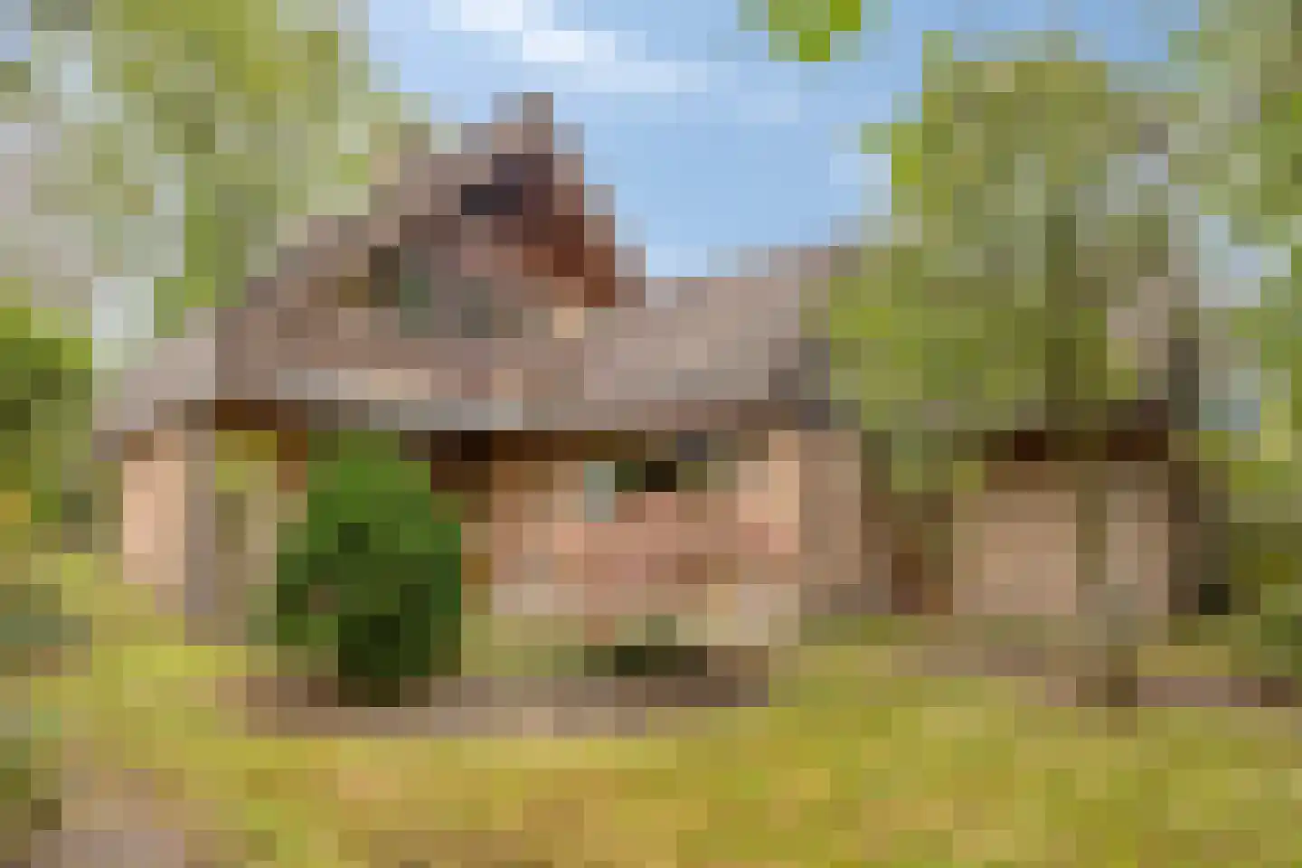Mgr. Bannenberglaan 4 Waalre thumbnail 5