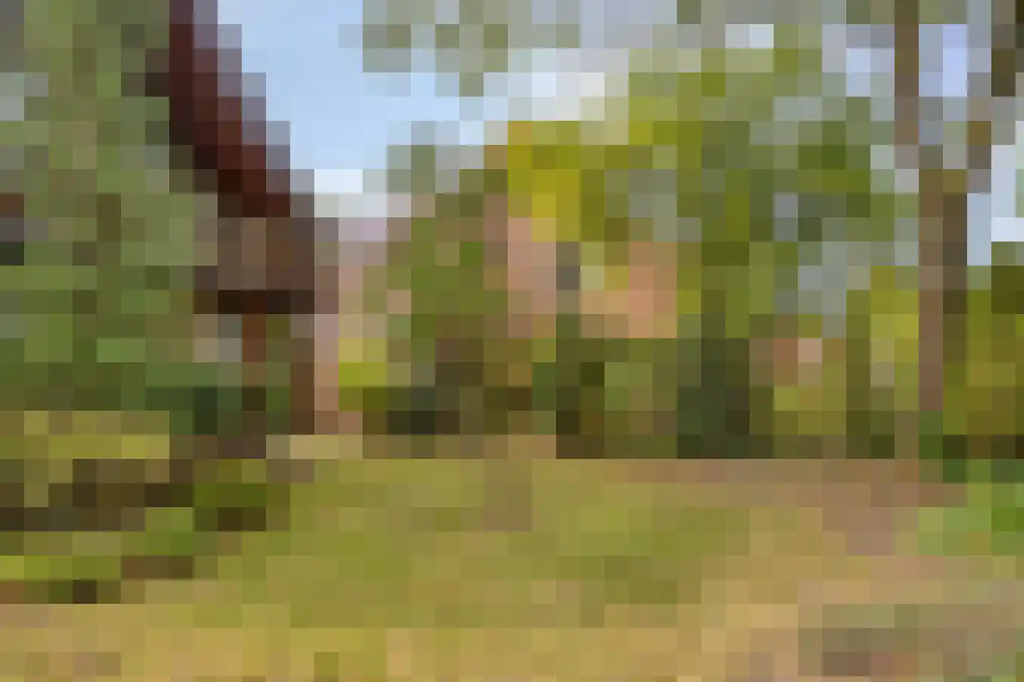 Mgr. Bannenberglaan 4 Waalre thumbnail 6