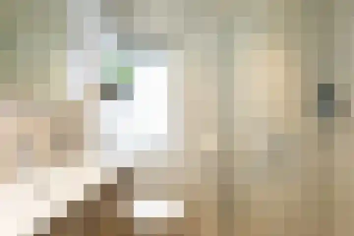 Mgr. Bannenberglaan 7 Waalre thumbnail 16