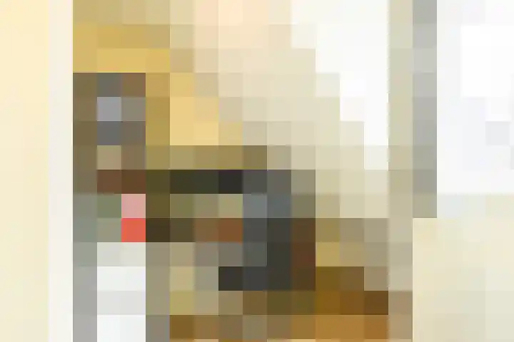 Mgr. Bannenberglaan 7 Waalre thumbnail 20