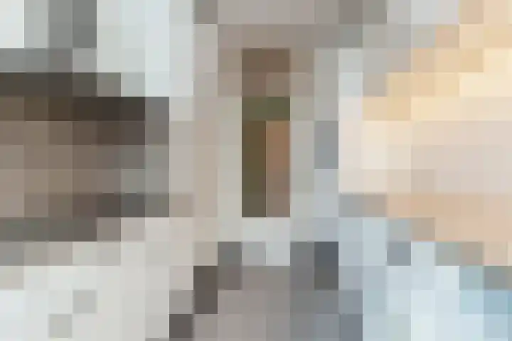 Mgr Bekkerslaan 101 Rijswijk thumbnail 14