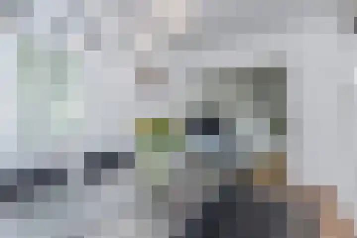 Mgr Bekkerslaan 137 Rijswijk thumbnail 19