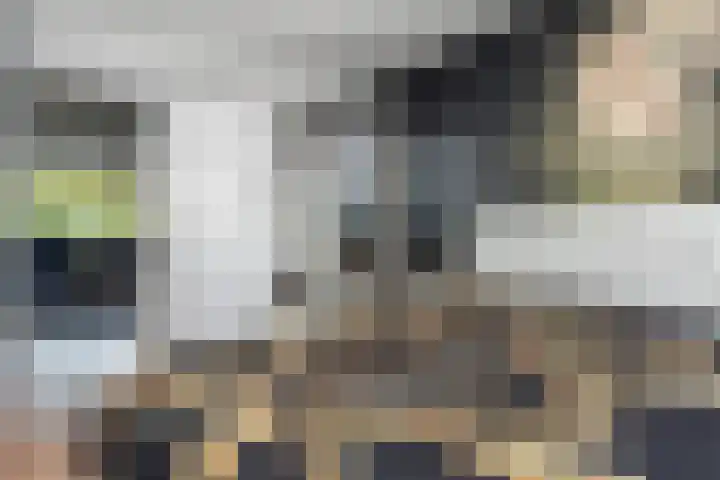 Mgr Bekkerslaan 137 Rijswijk thumbnail 27