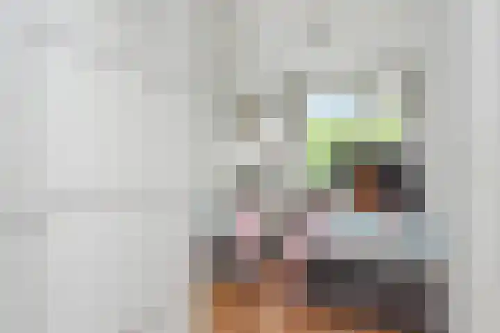 Mgr Bekkerslaan 137 Rijswijk thumbnail 28