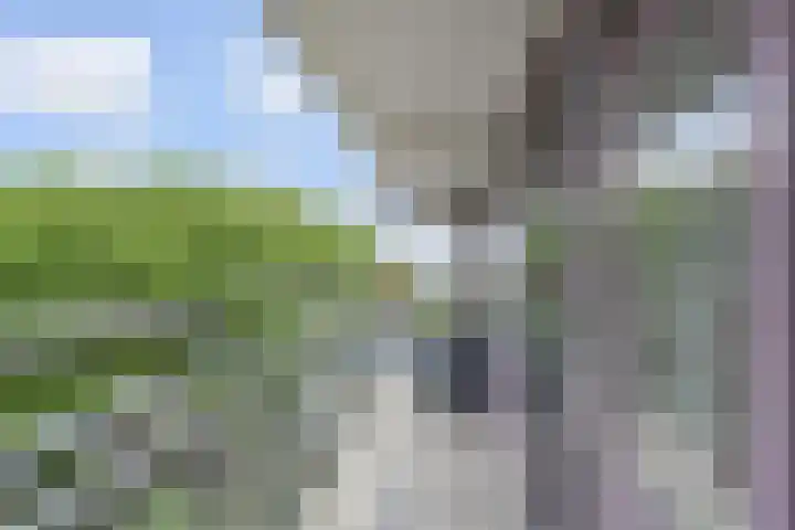 Mgr Bekkerslaan 137 Rijswijk thumbnail 38