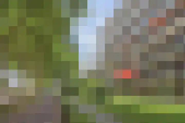 Mgr Bekkerslaan 137 Rijswijk thumbnail 43