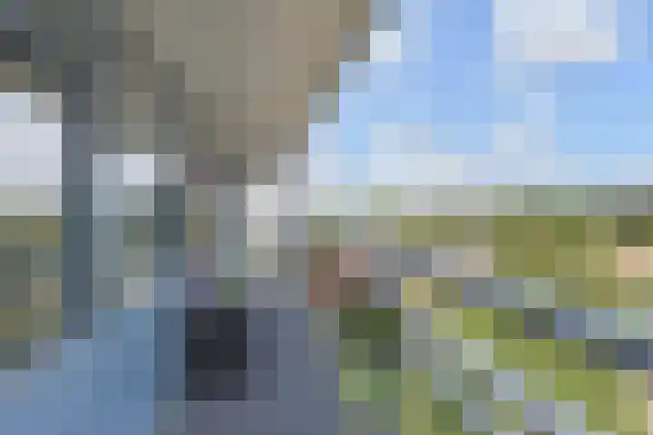 Mgr Bekkerslaan 137 Rijswijk thumbnail 5