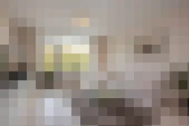 Mgr Bekkerslaan 139 Rijswijk thumbnail 13