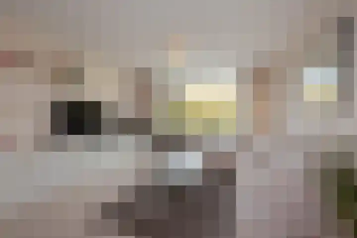 Mgr Bekkerslaan 139 Rijswijk thumbnail 14