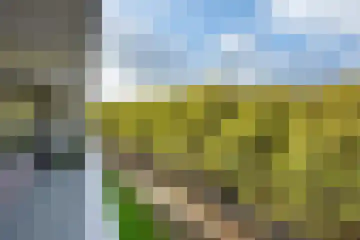 Mgr Bekkerslaan 139 Rijswijk thumbnail 21